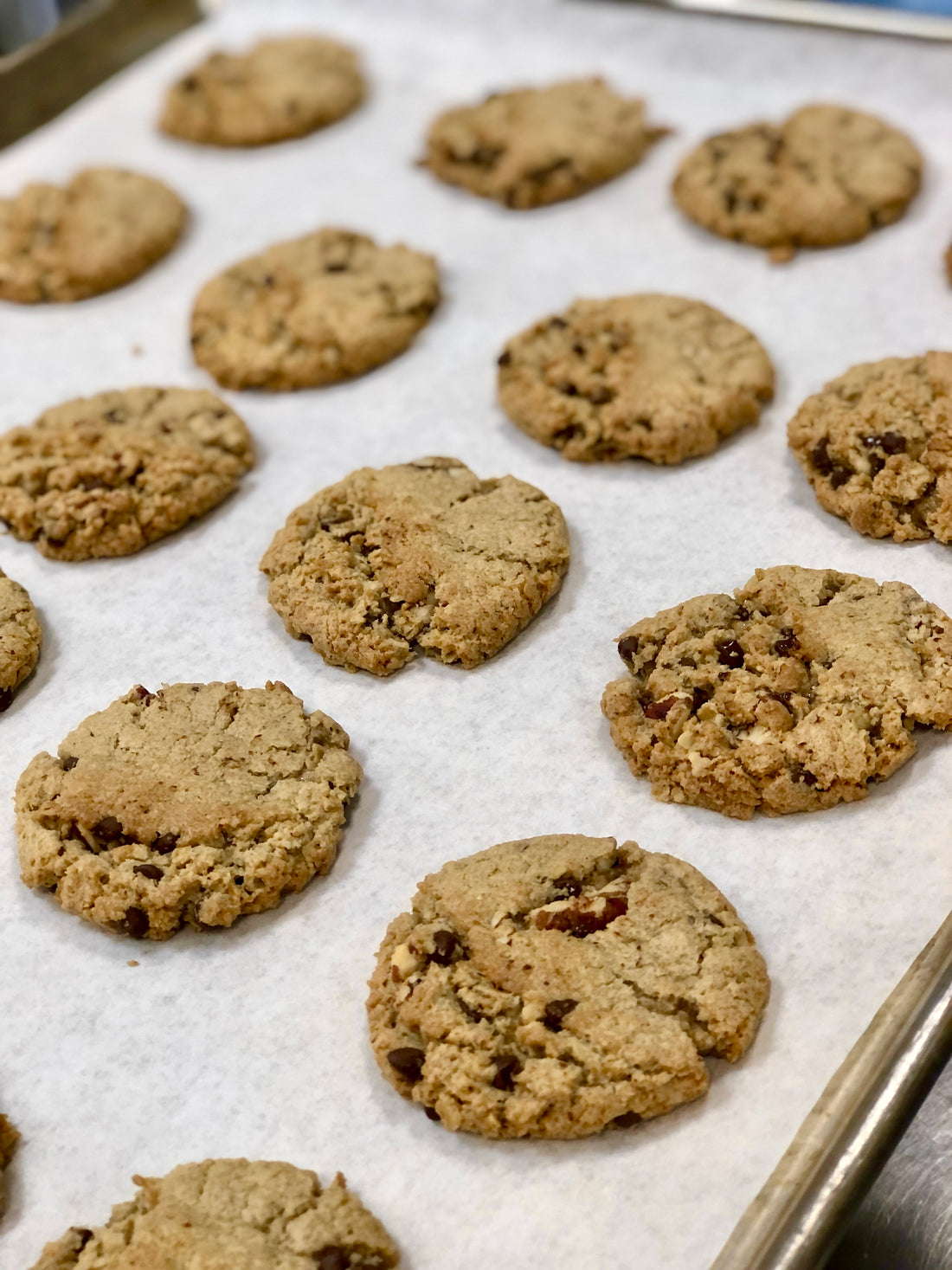 Dark Chocolate & Pecan Oatmeal Cookies (Dairy Free)