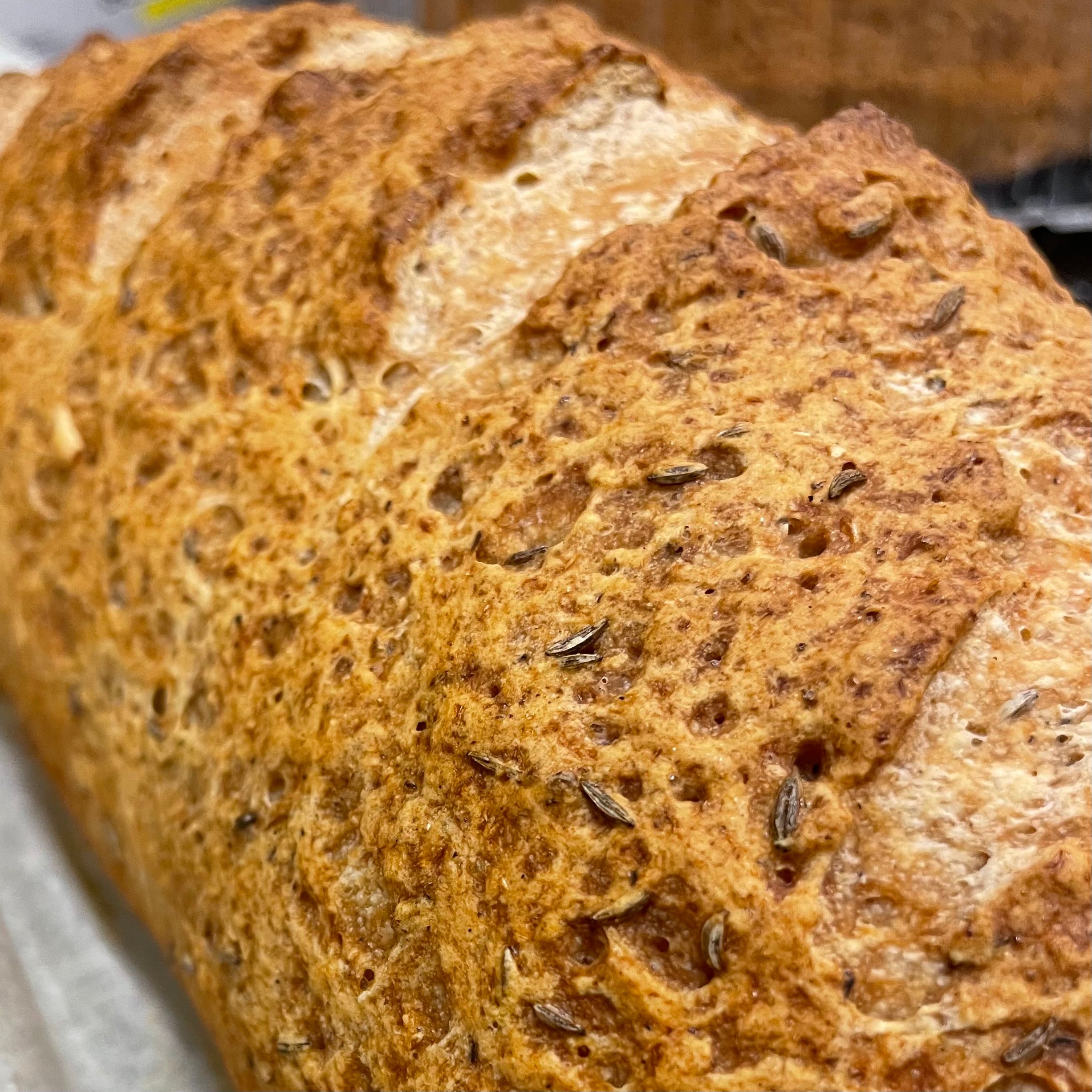 Fresh Bread - Caraway Seeded