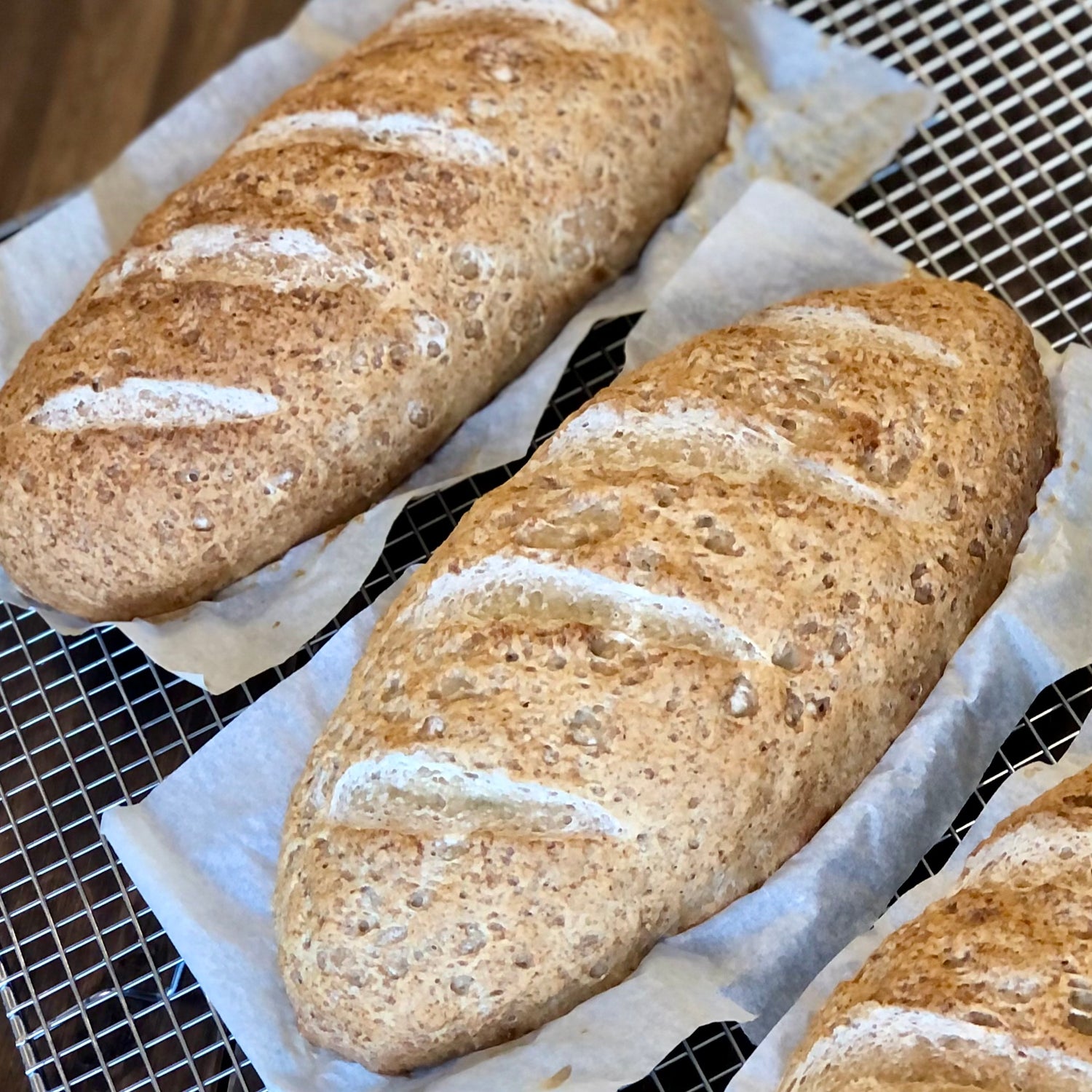 Fresh Bread - Caraway Seeded